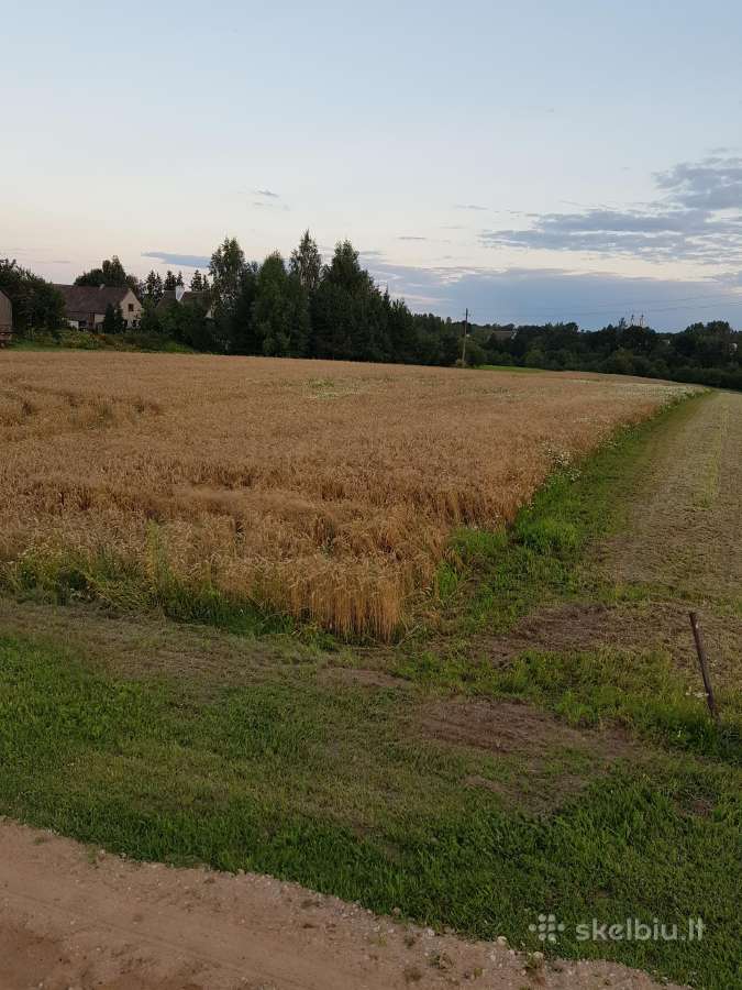 Parduodu žemės sklypa prie Ariogalos m Taurupyje Skelbiu lt