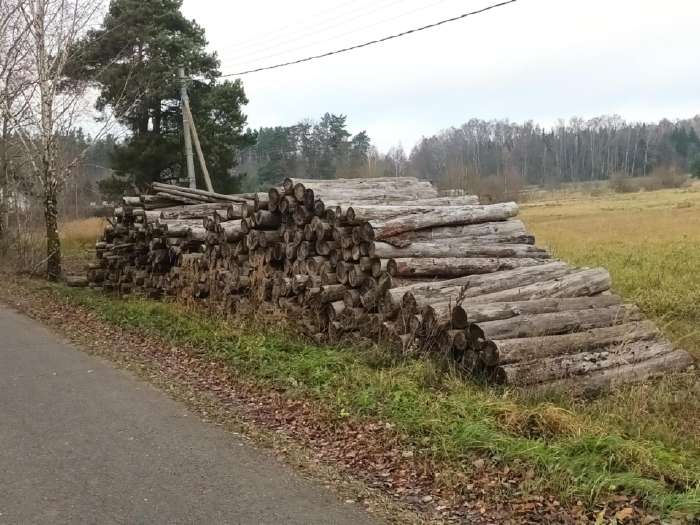 Parduodu Rastus Malkoms Skelbiu Lt