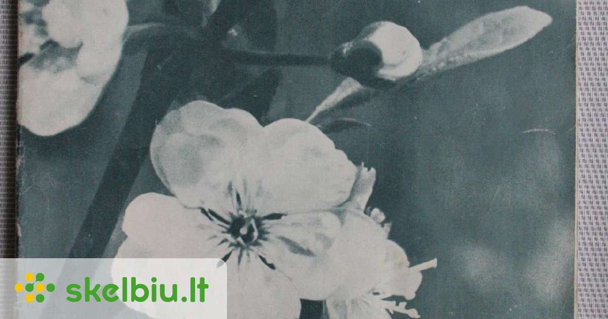 tarybine moteris skelbimai Skelbiu.lt