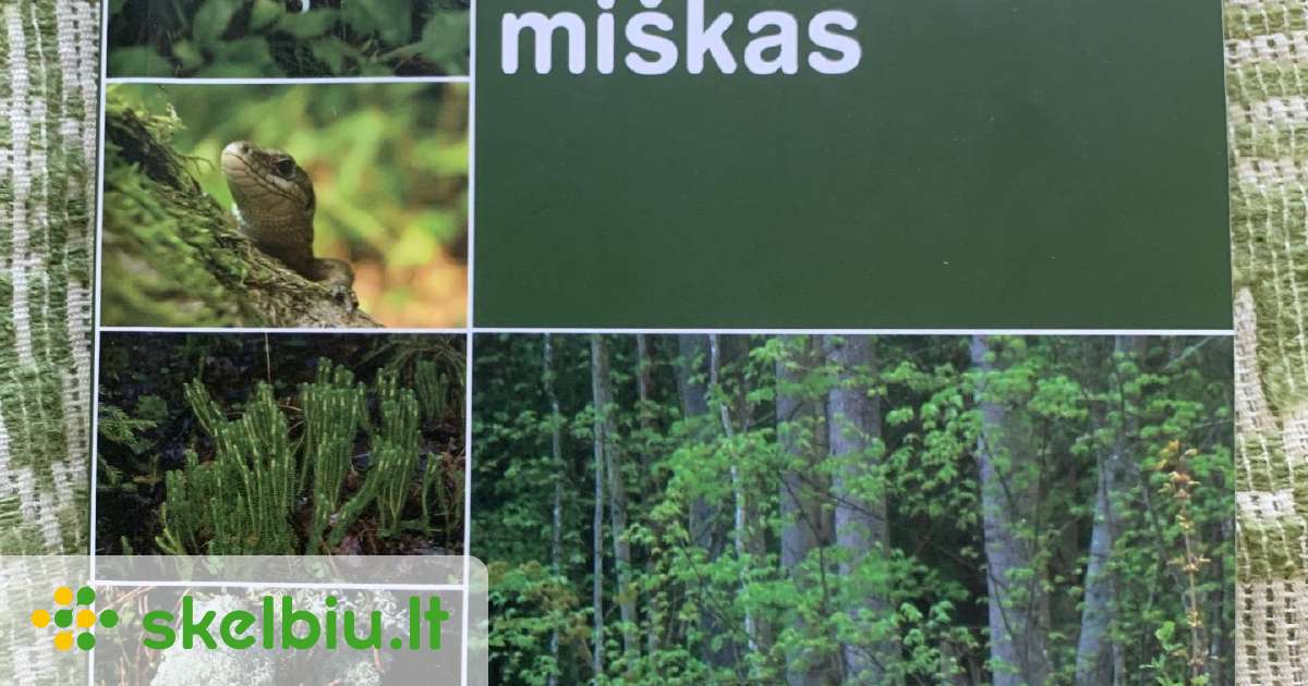 Nuostabusis miskas - Skelbiu.lt