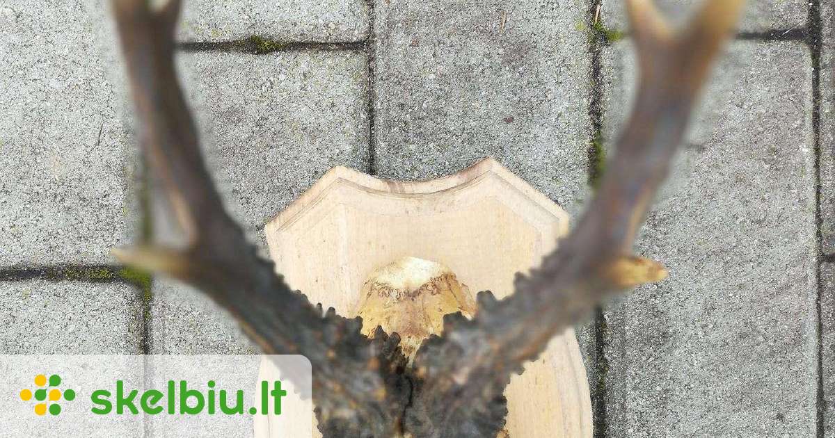 ozio ragai skelbimai - Skelbiu.lt