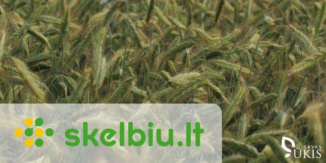 rugiai kalvarija skelbimai - Skelbiu.lt