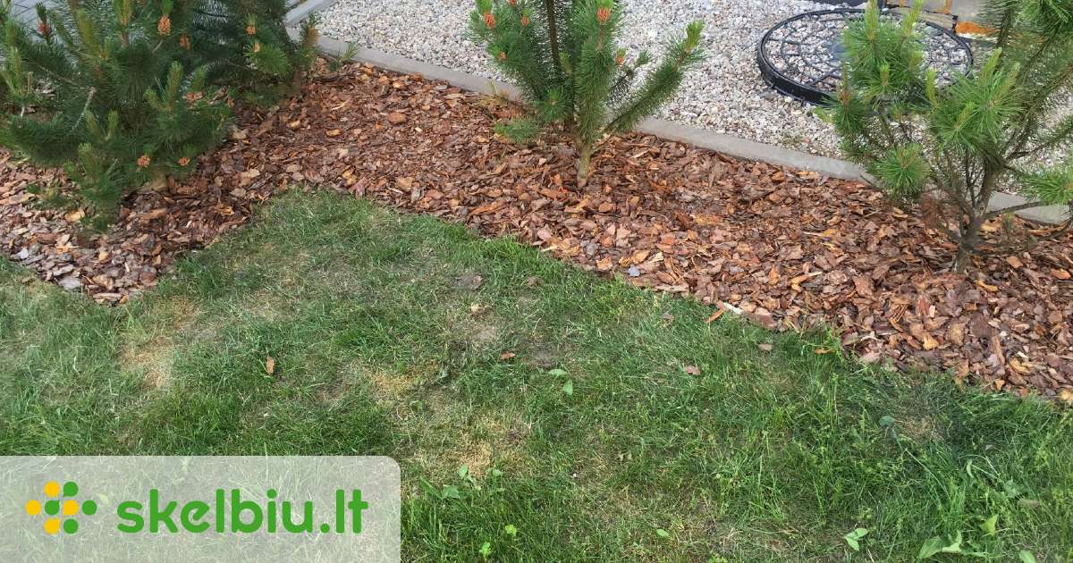 Nat ralus Nefrakcijuotas Pu ies Mul as Didmai iais Skelbiu lt nat-ralus-nefrakcijuotas-pu-ies-mul-as-didmai-iais-skelbiu-lt
