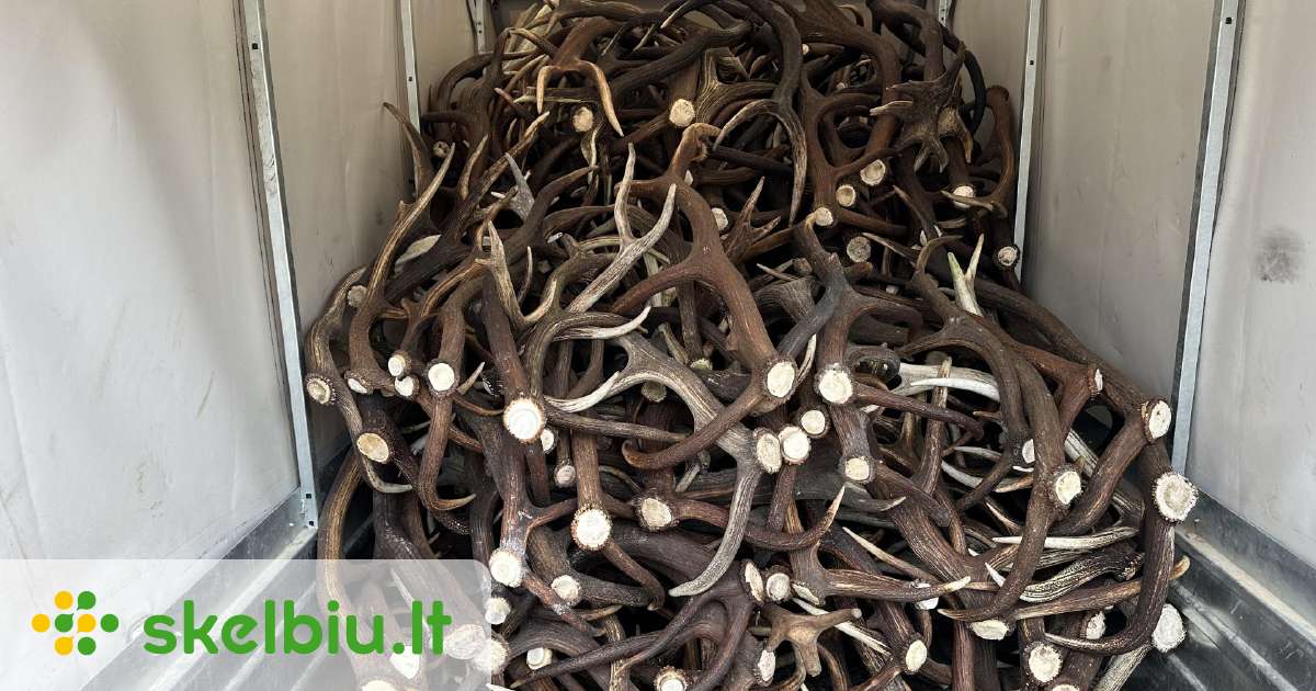 Perku elnio ragus - Skelbiu.lt