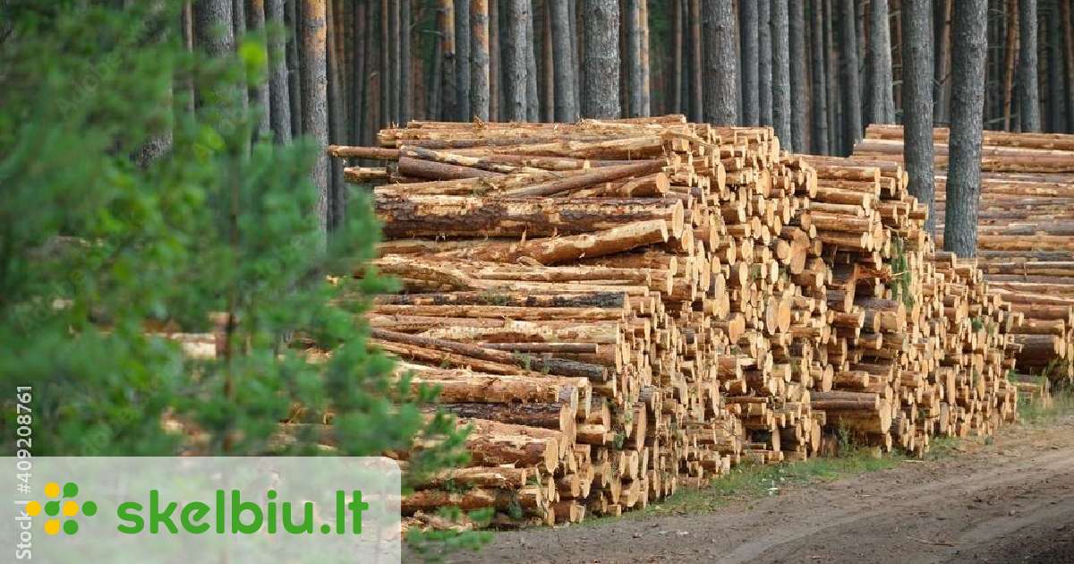 Chna Rastai juodalksnio rastai vilnius skelbimai - Skelbiu.lt
