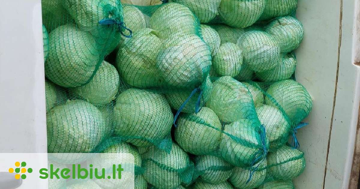 Parduodu kopūstus. - Skelbiu.lt