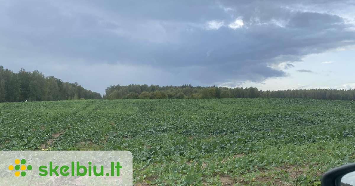 Išsinuomosiu Žemę - Skelbiu.lt