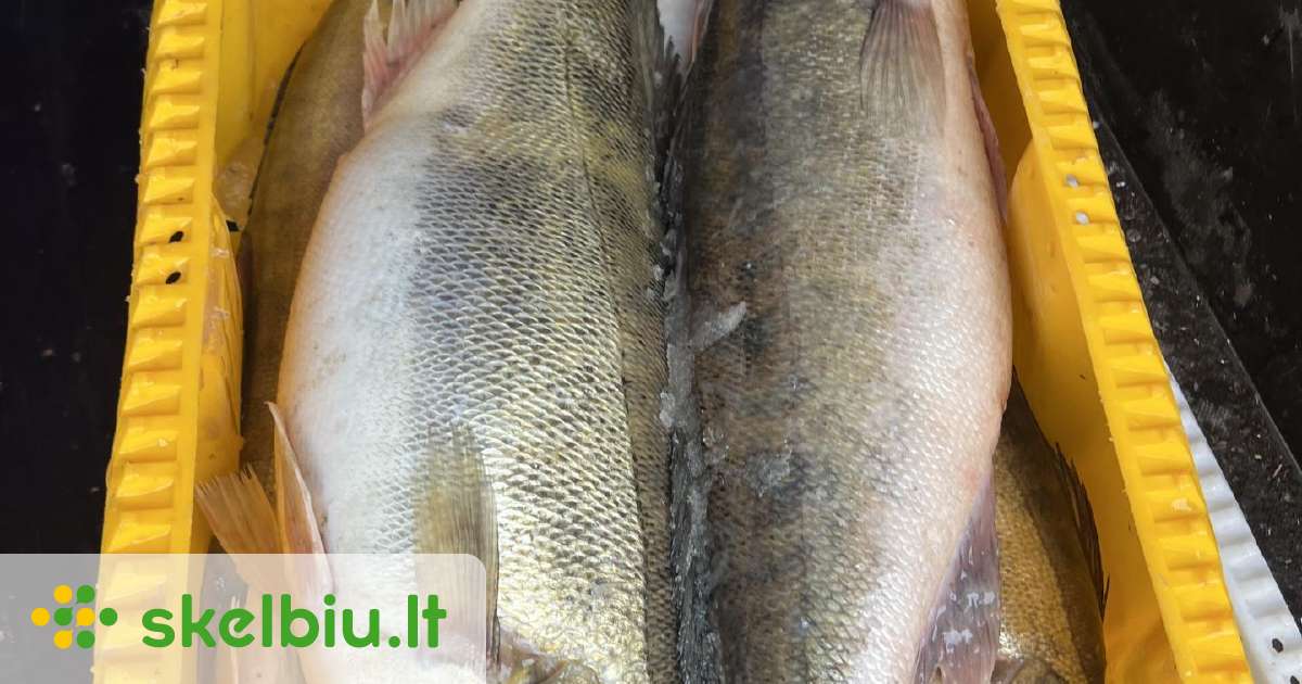 Šviežias starkis/šviežia žuvis - Skelbiu.lt