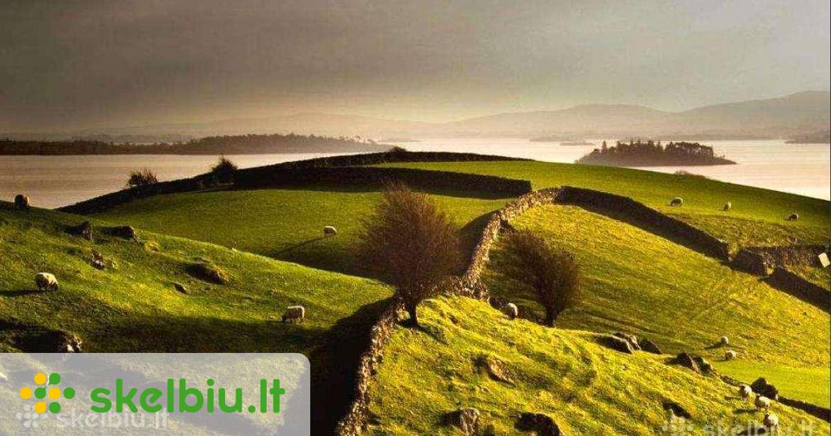 Darbas Airijoje - Skelbiu.lt
