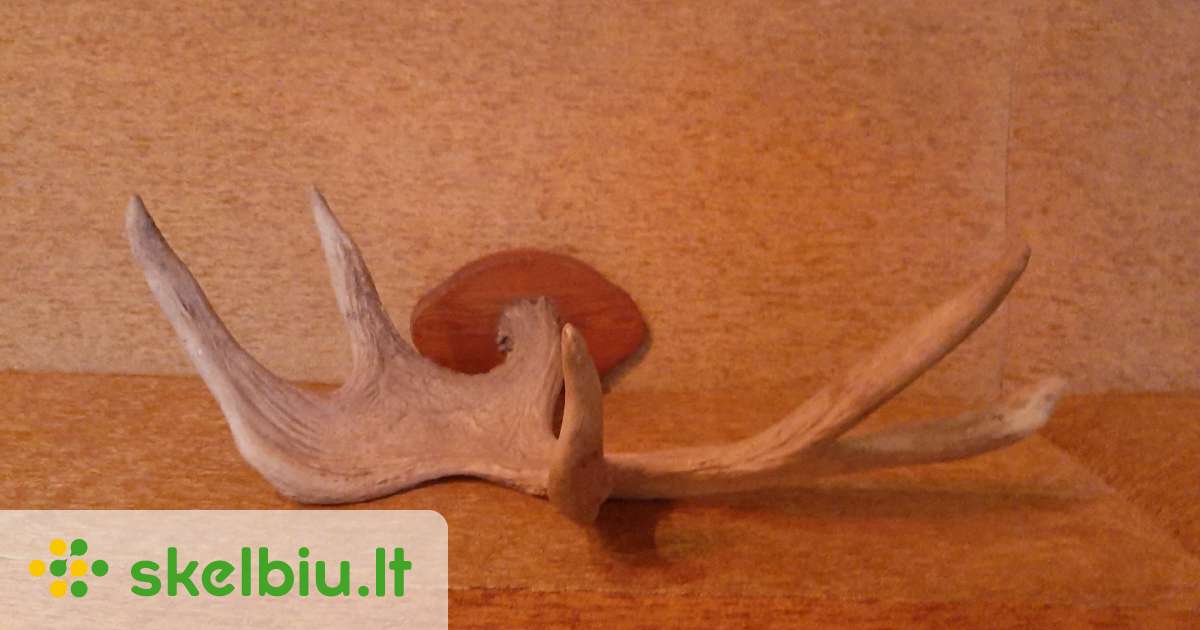 Bronius Ragai Briedžio ragai su pakaba - Skelbiu.lt