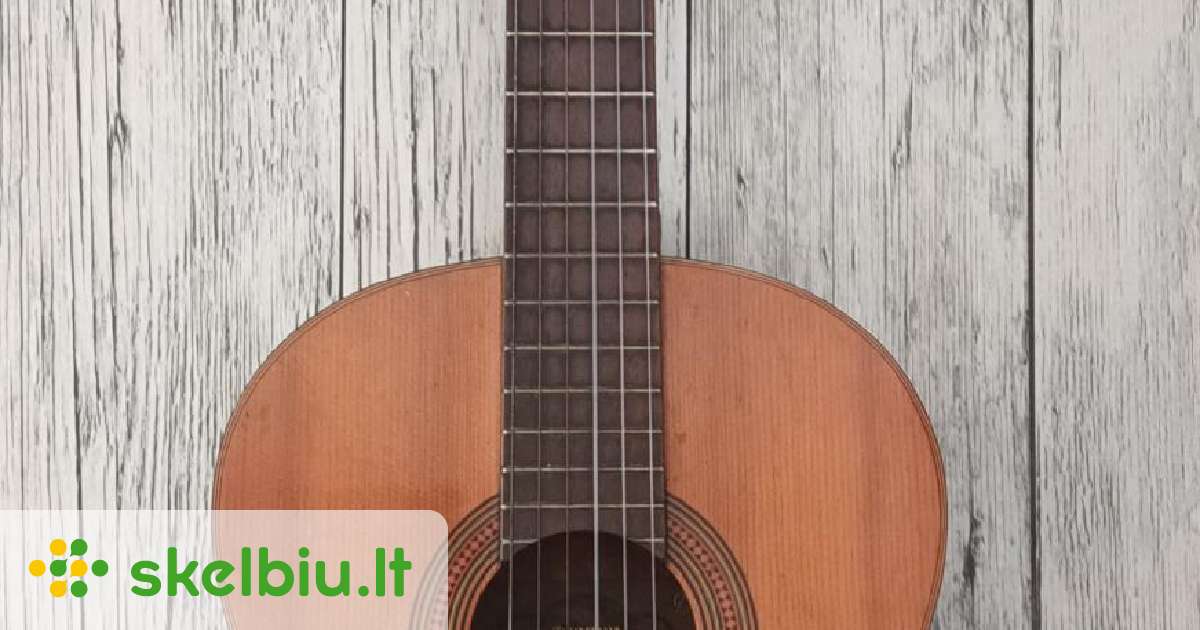 German Custom Guitars & Basses - 666strings