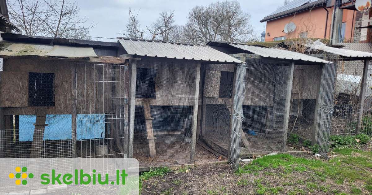 Быстровозводимый дом в Геленджике кровля