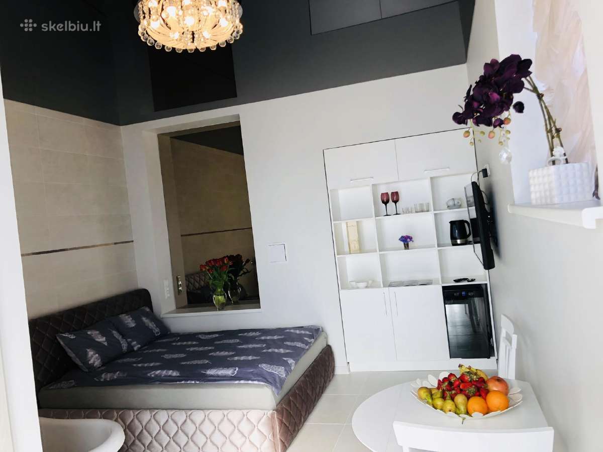 Trumpalaikė nuoma Panevėžys. Privatūs apartamentai - nuotraukos Nr. 4