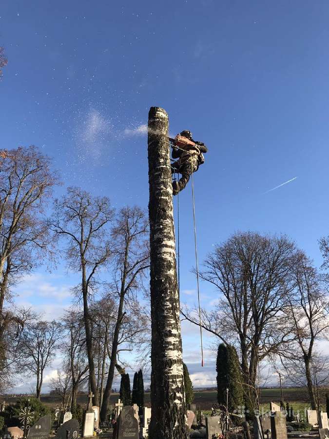 Apleistų sklypų tvarkymas / Aplinkos tvarkymas - nuotraukos Nr. 15