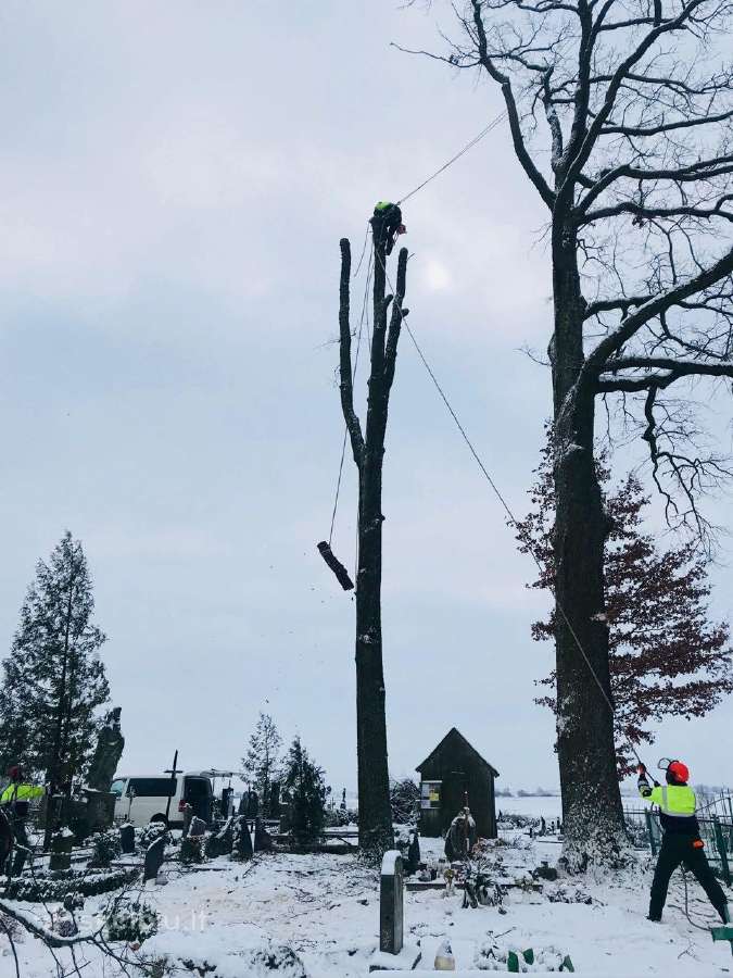 Apleistų sklypų tvarkymas / Aplinkos tvarkymas - nuotraukos Nr. 29