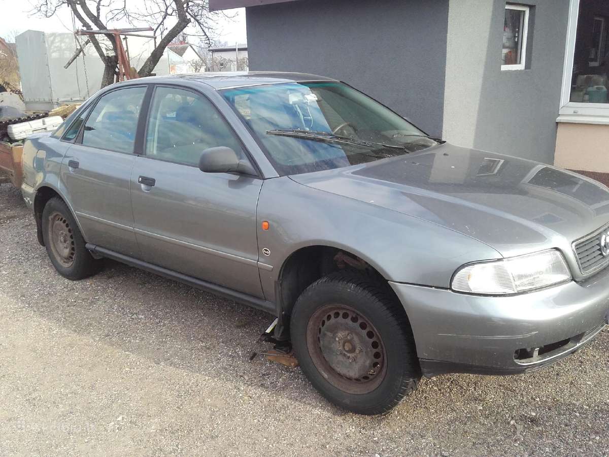 Passat,audi dalym - nuotraukos Nr. 4