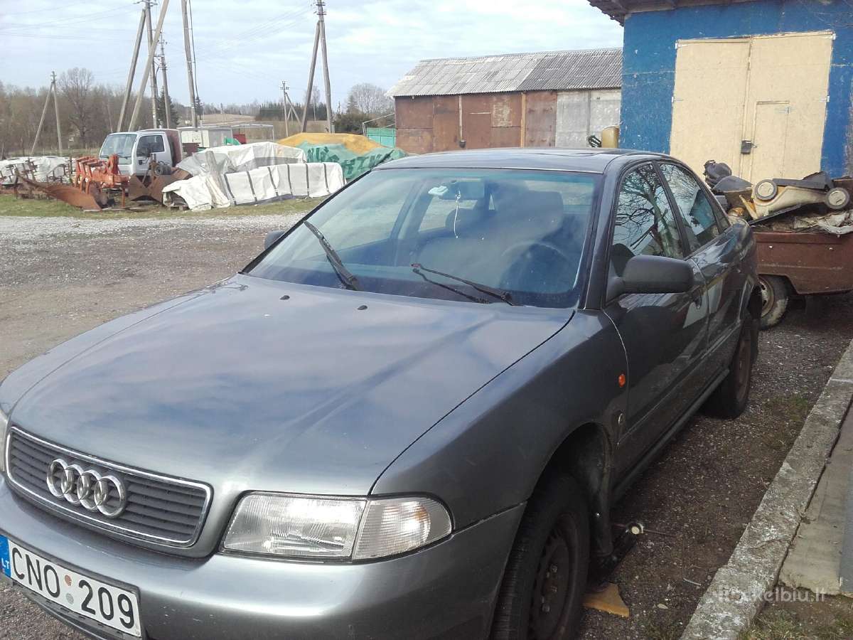 Passat,audi dalym - nuotraukos Nr. 5