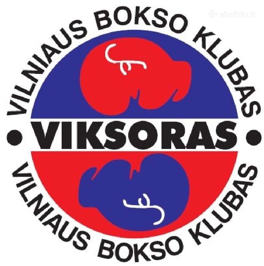 Bokso, kikboksas,muay thai/k1 treniruotės Vilniuje - nuotraukos Nr. 15