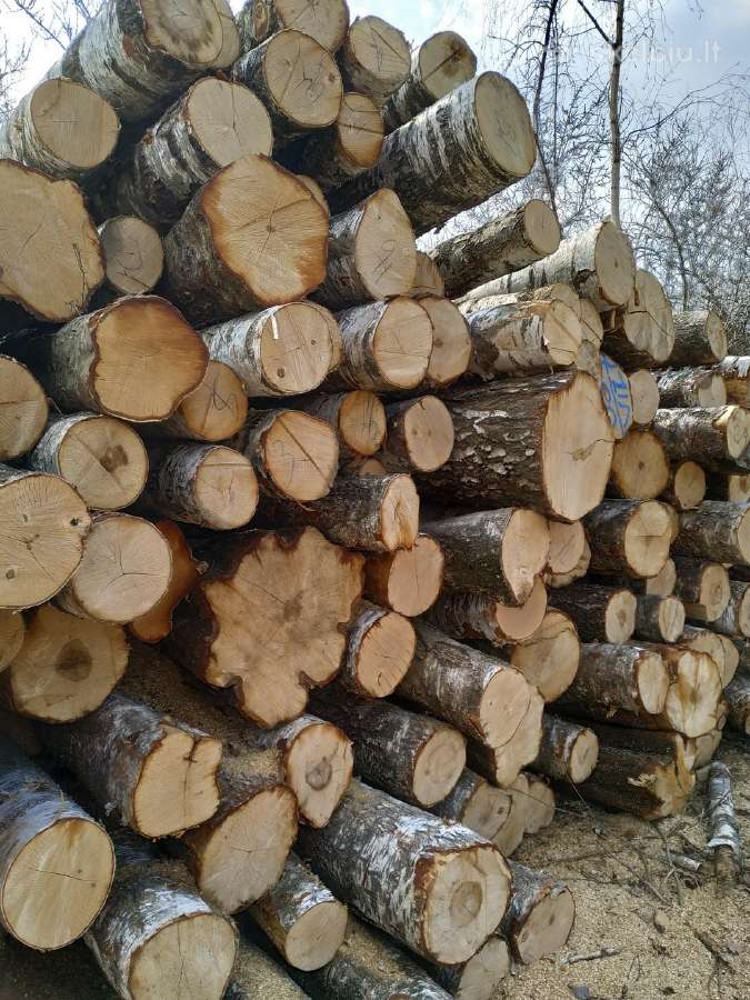 Malkos Panevėžio ir aplinkiniuose rajonuose - nuotraukos Nr. 2