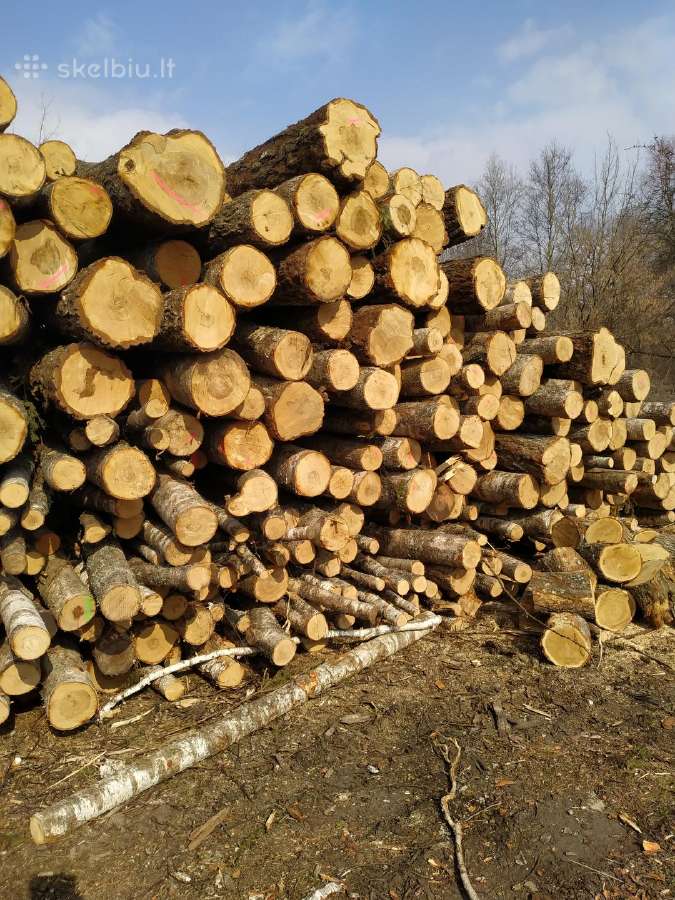 Malkos Panevėžio ir aplinkiniuose rajonuose - nuotraukos Nr. 4