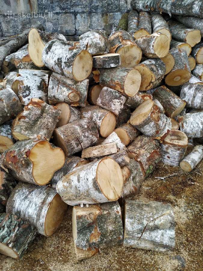 Malkos Panevėžio ir aplinkiniuose rajonuose - nuotraukos Nr. 6