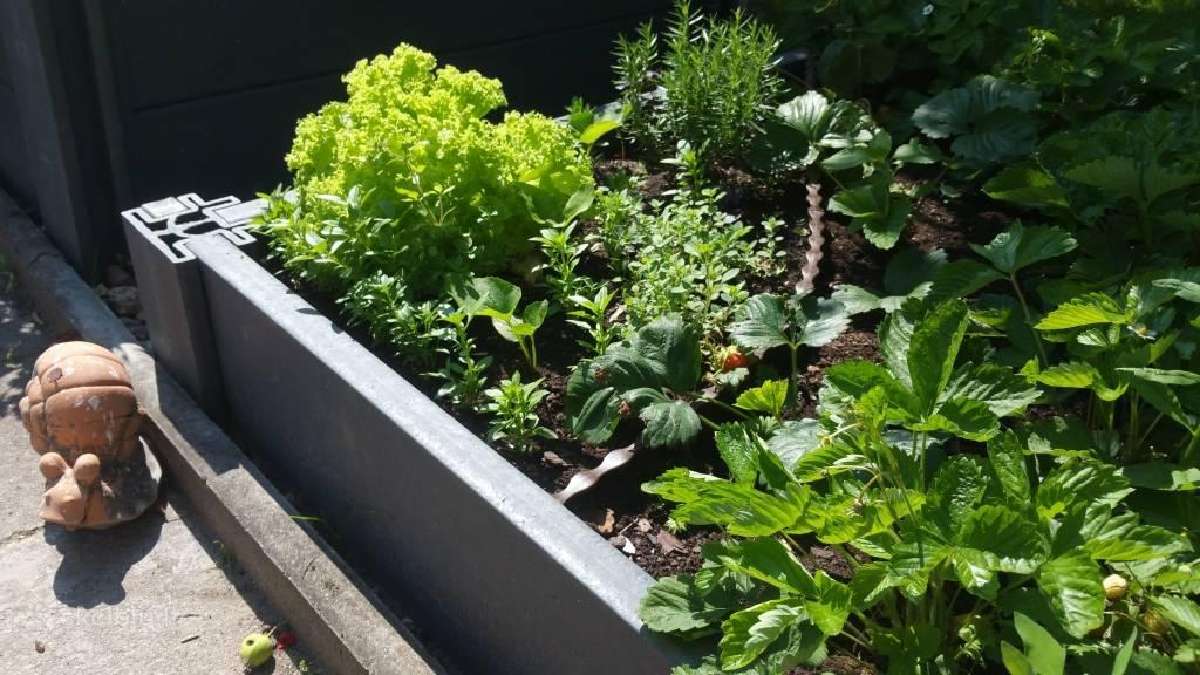 Pakeltos lysvės Ecoo ir aplinkotvarkos sprendimai - nuotraukos Nr. 6