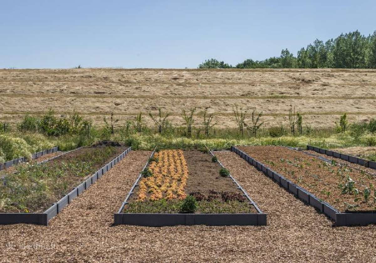 Pakeltos lysvės Ecoo ir aplinkotvarkos sprendimai - nuotraukos Nr. 13