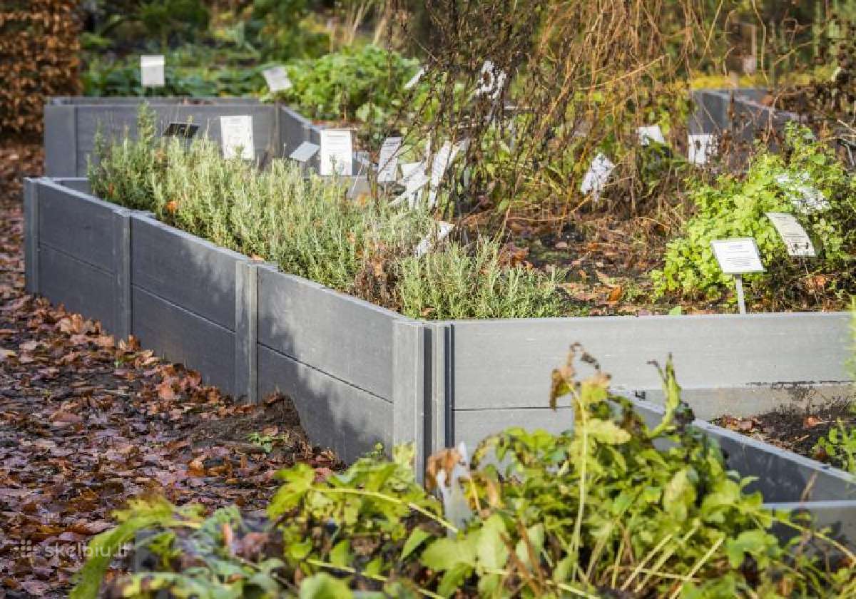 Pakeltos lysvės Ecoo ir aplinkotvarkos sprendimai - nuotraukos Nr. 15