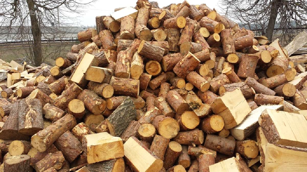 Parduodu lapuočio ir spygliuočių malkas - nuotraukos Nr. 12