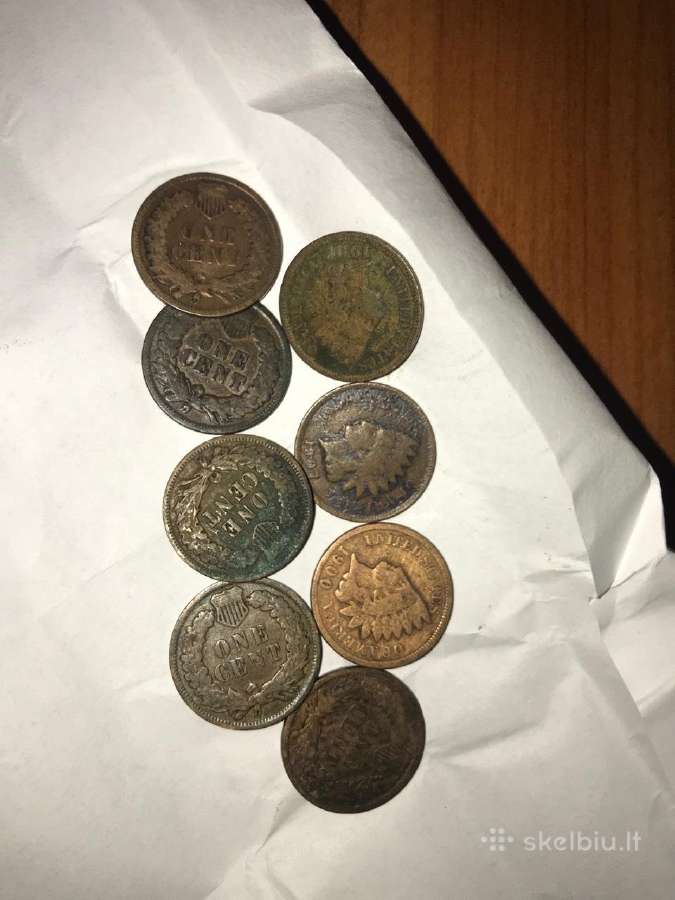 JAV 1 Centas su indėnu atvaizdu 1906