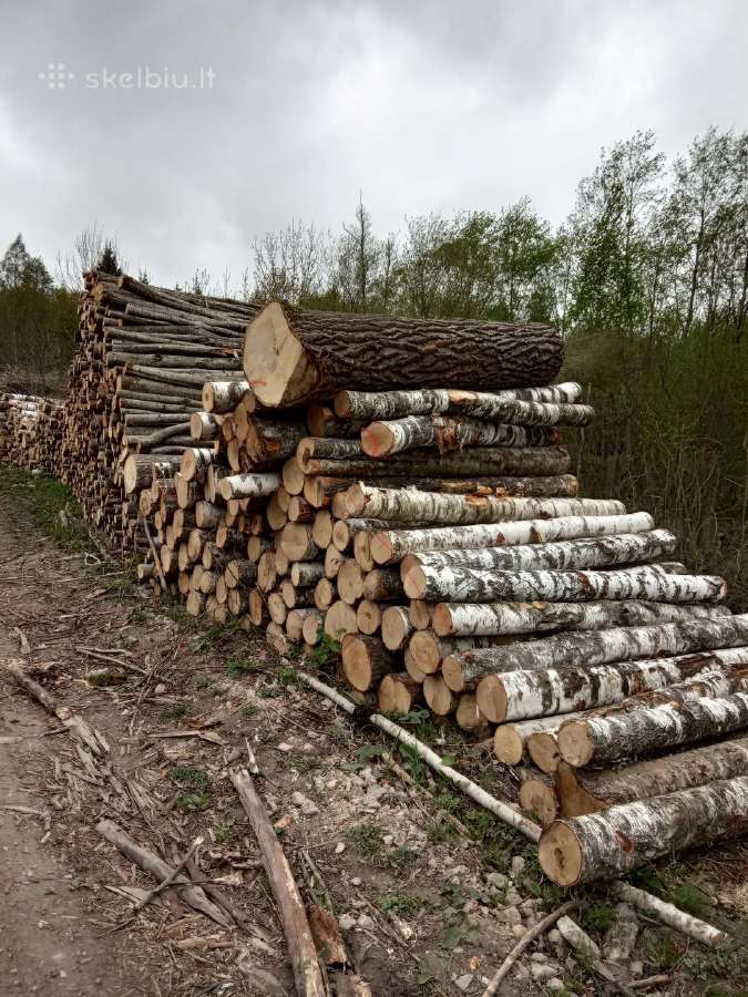 Malkos Anykščiai - nuotraukos Nr. 5