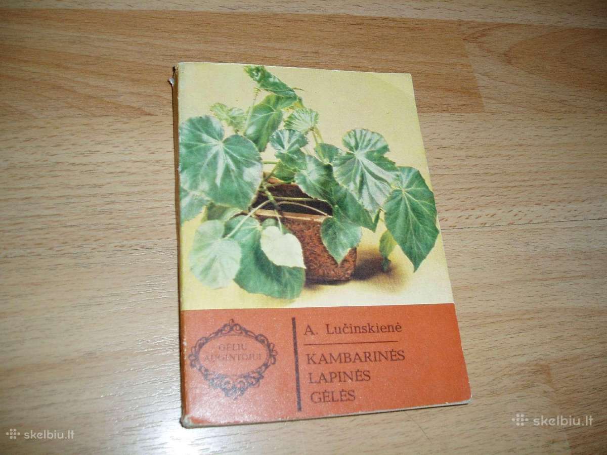 Visos knygos po 1 euro - nuotraukos Nr. 8