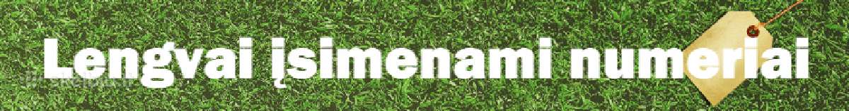 Lengvai Įsimenami Numeriai | Skelbiu.lt Lengvai Įsimenami Numeriai