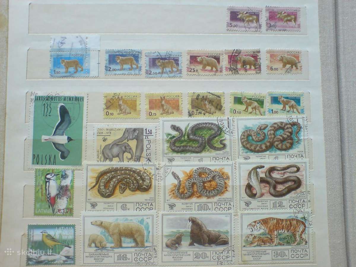Pašto ženklai - fauna - nuotraukos Nr. 14