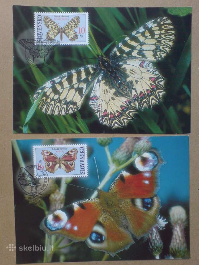 Drugeliai fauna - 2002 m.