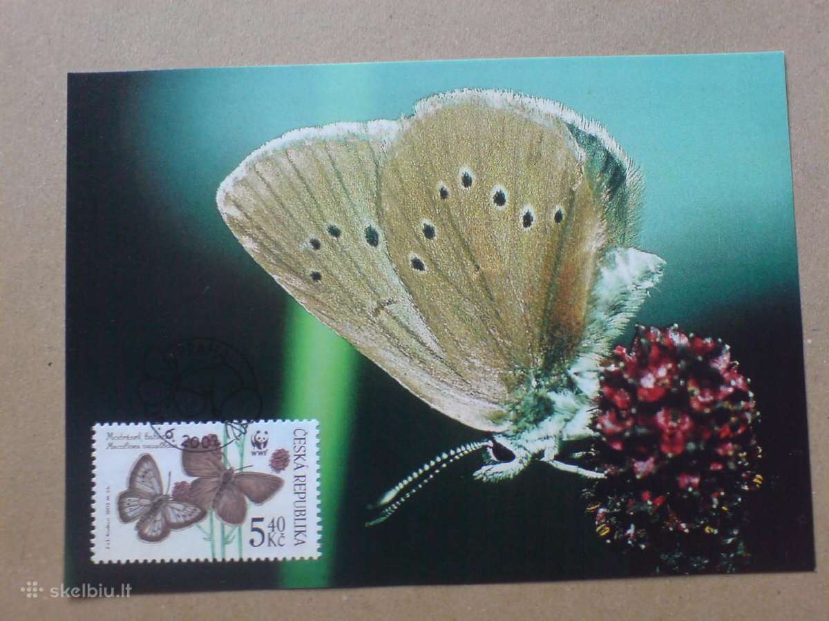 Drugeliai fauna - 2002 m. - nuotraukos Nr. 3