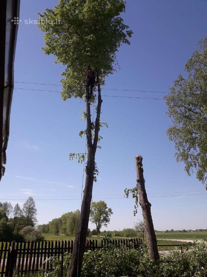 Greitas ir kokybiškas avarinių medžių pjovimas - nuotraukos Nr. 3
