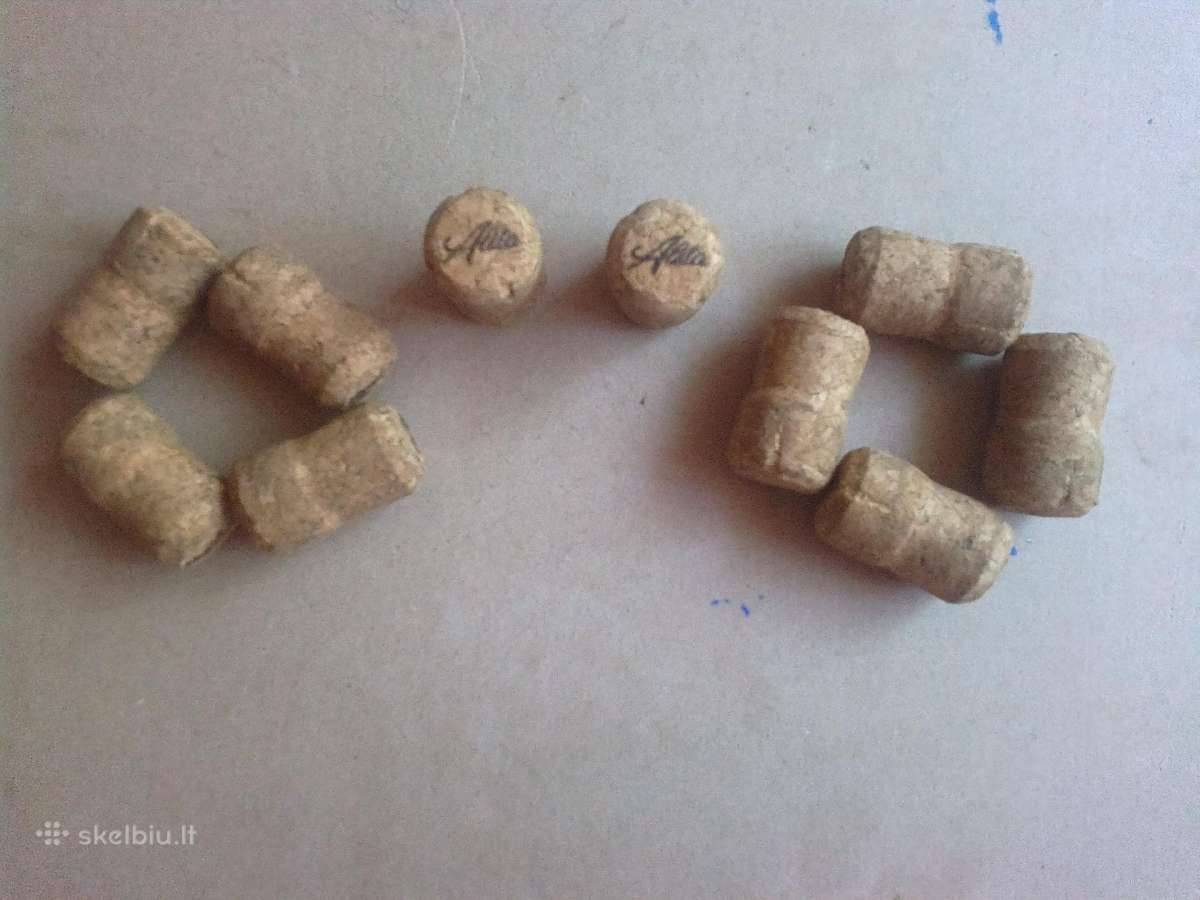 Kamsciai