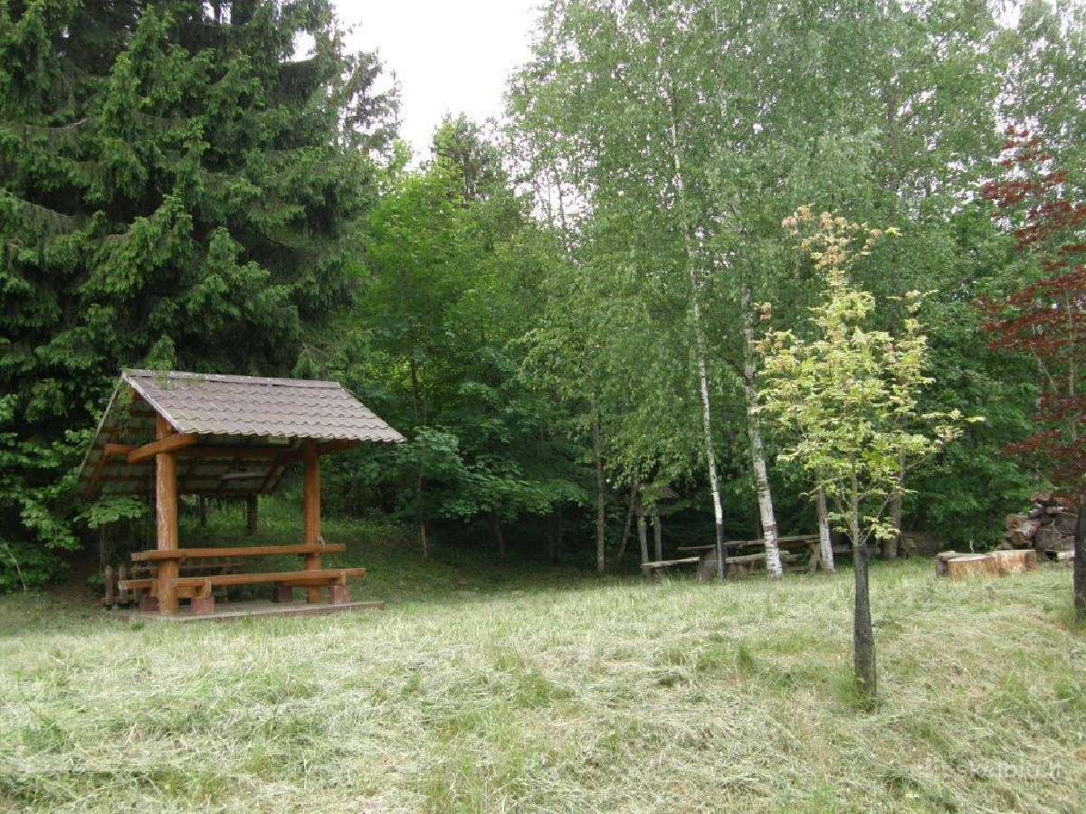Baidarės. Baidarių nuoma Anykščiuose - nuotraukos Nr. 2