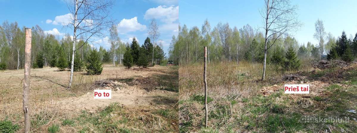 Kelmų frezavimas, apleistų sklypų tvarkymas - nuotraukos Nr. 4