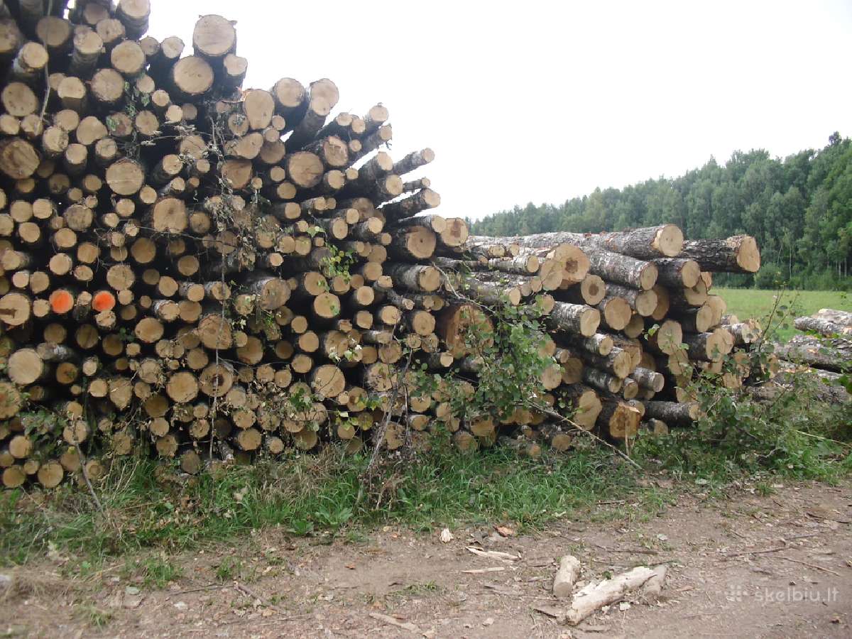 Malkos rąstais miškovežiais - nuotraukos Nr. 4