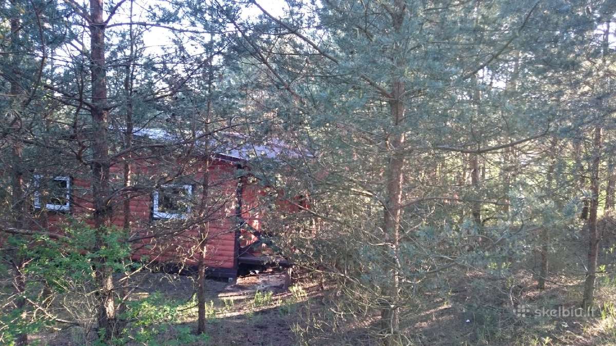 Naujų namelių/kambarių nuoma Šventojoje - nuotraukos Nr. 21