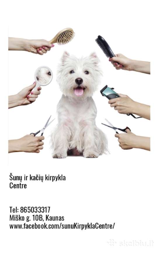 Šunu ir kačiu kirpykla Kauno Centre - veterinaras