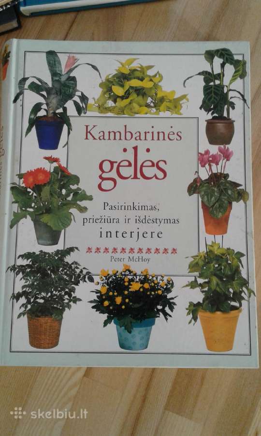 P.m.hoy kambarines geles knyga 1999m.