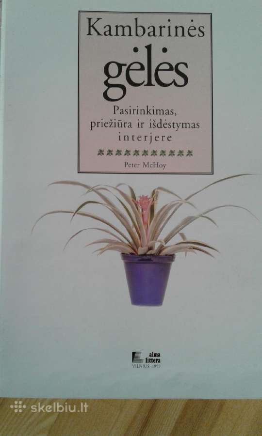 P.m.hoy kambarines geles knyga 1999m. - nuotraukos Nr. 2