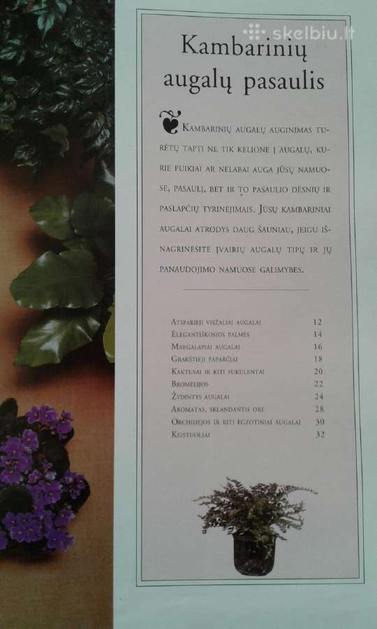 P.m.hoy kambarines geles knyga 1999m. - nuotraukos Nr. 3