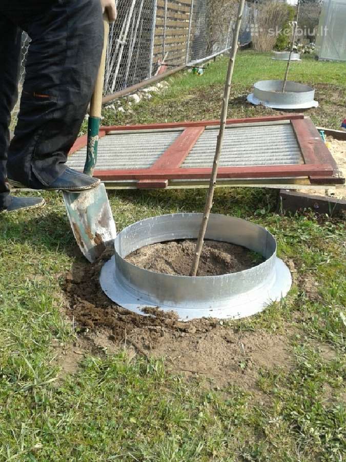 Metalinė užtvarėlė medeliams, krūmams, gėlynams - nuotraukos Nr. 4