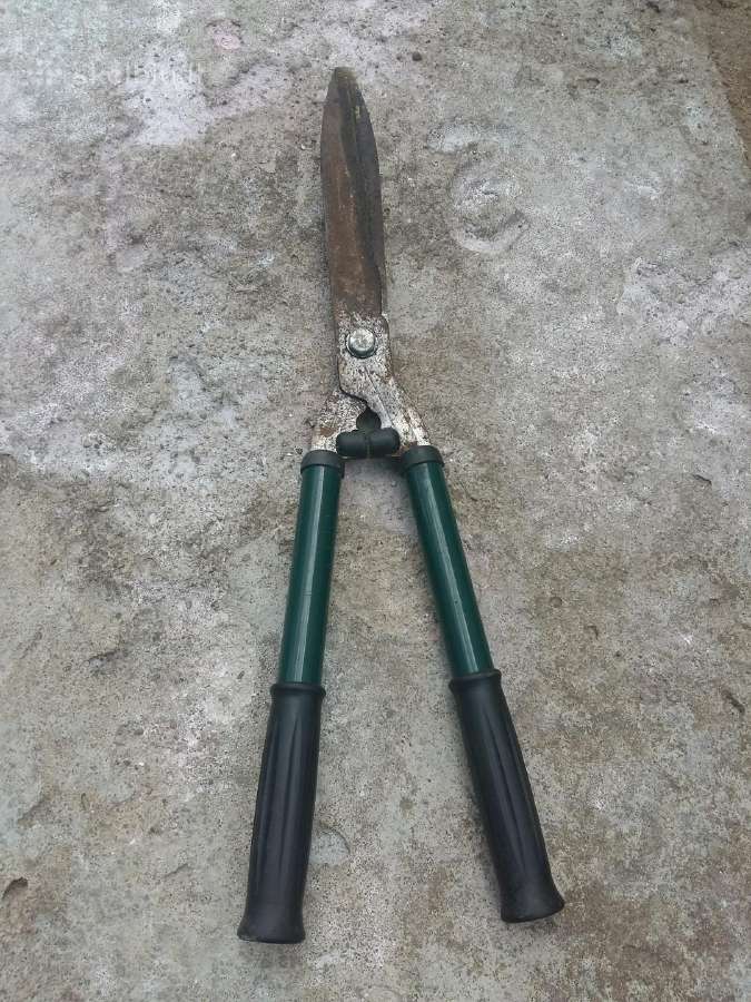 Gyvatvores zirkles