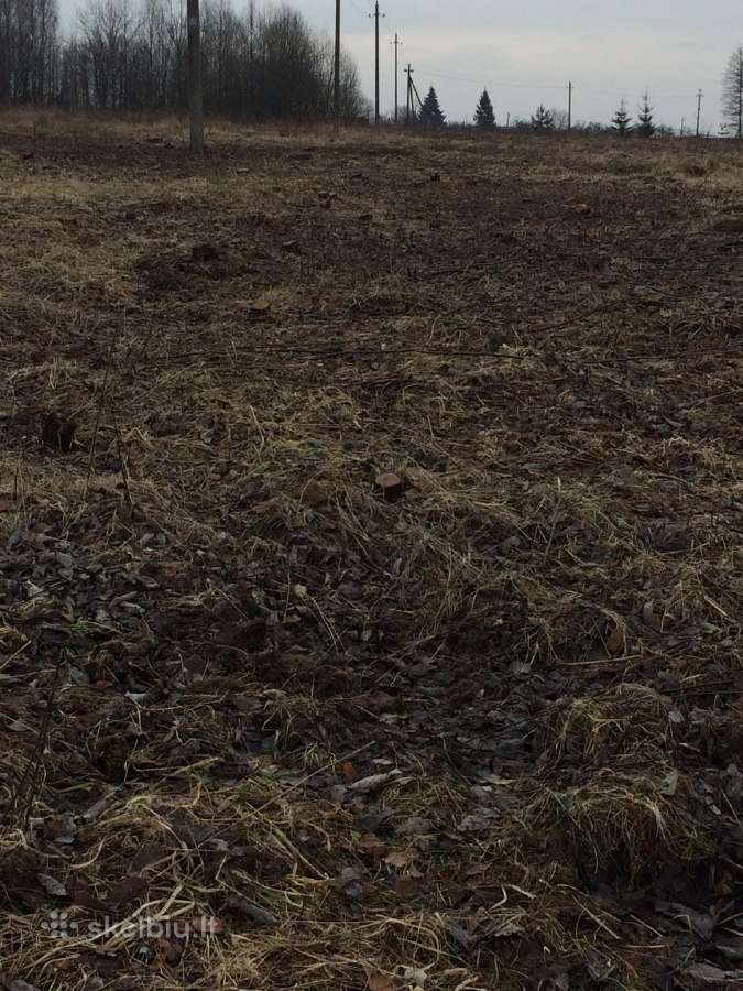 Miško Tvarkymas , Apleistų sklypų tvarkymas , - nuotraukos Nr. 3