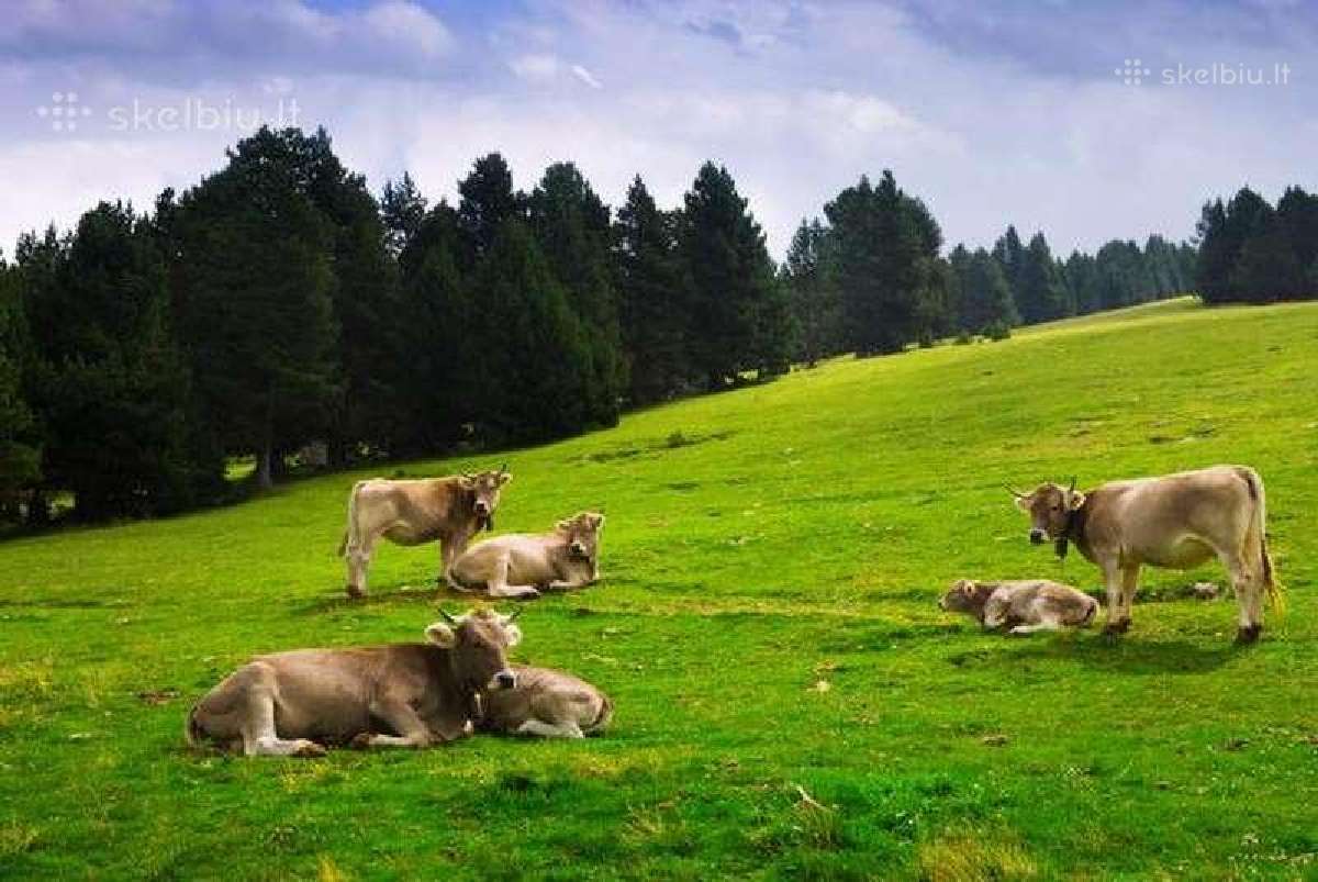Fermos darbuotojas | Skelbiu.lt Fermos darbuotojas